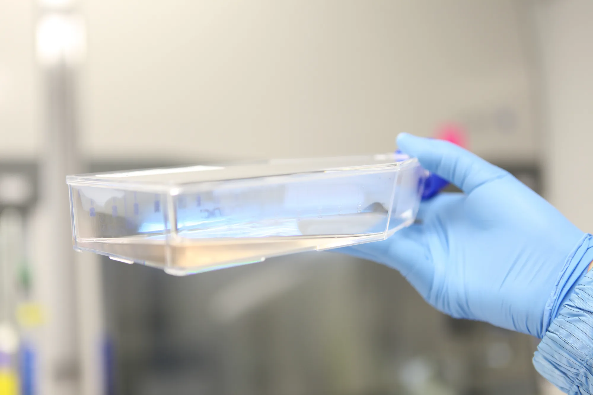 Hope Biosciences cell culture laboratory in Sugar Land, Texas